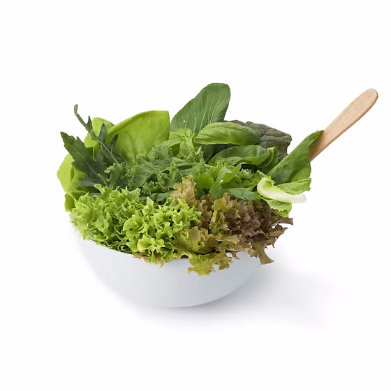 Only Hydroponic immunity booster (salad-mix) - 150gm