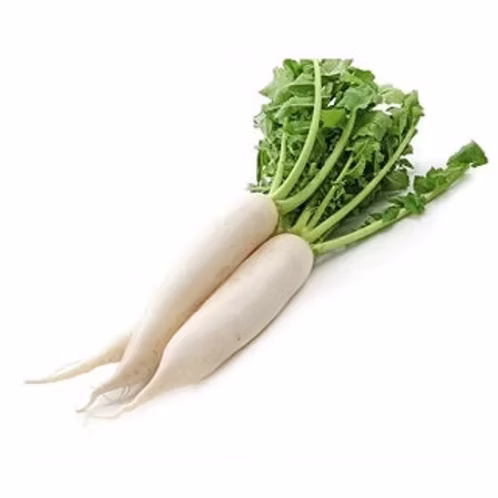 Only Hydrophonics Raddish (Organically grown) - 500gm