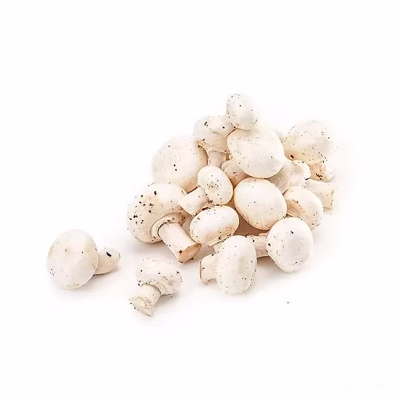 Only Hydroponic mushroom - 200gm