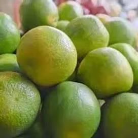 Sweet Lime (Mausami) - 500g from Rahul